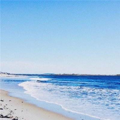 波胆app官网手机app下载