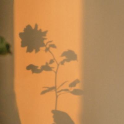 澳门人威尼斯3966