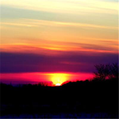 双赢彩票官方网站app下载