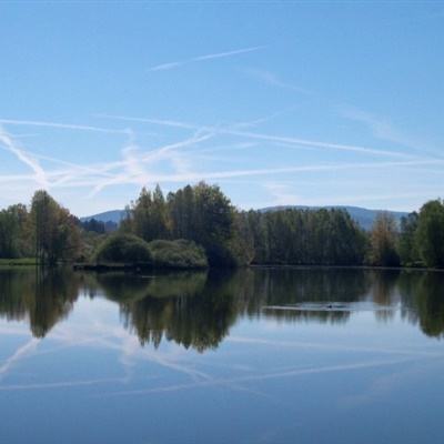 365体育官方唯一入口下载手机版