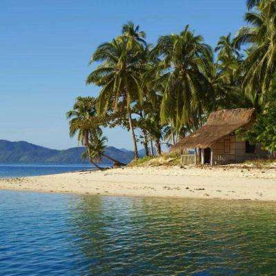 开云·体育(kaiyun)手机app下载