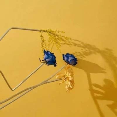 天博网页版登录界面